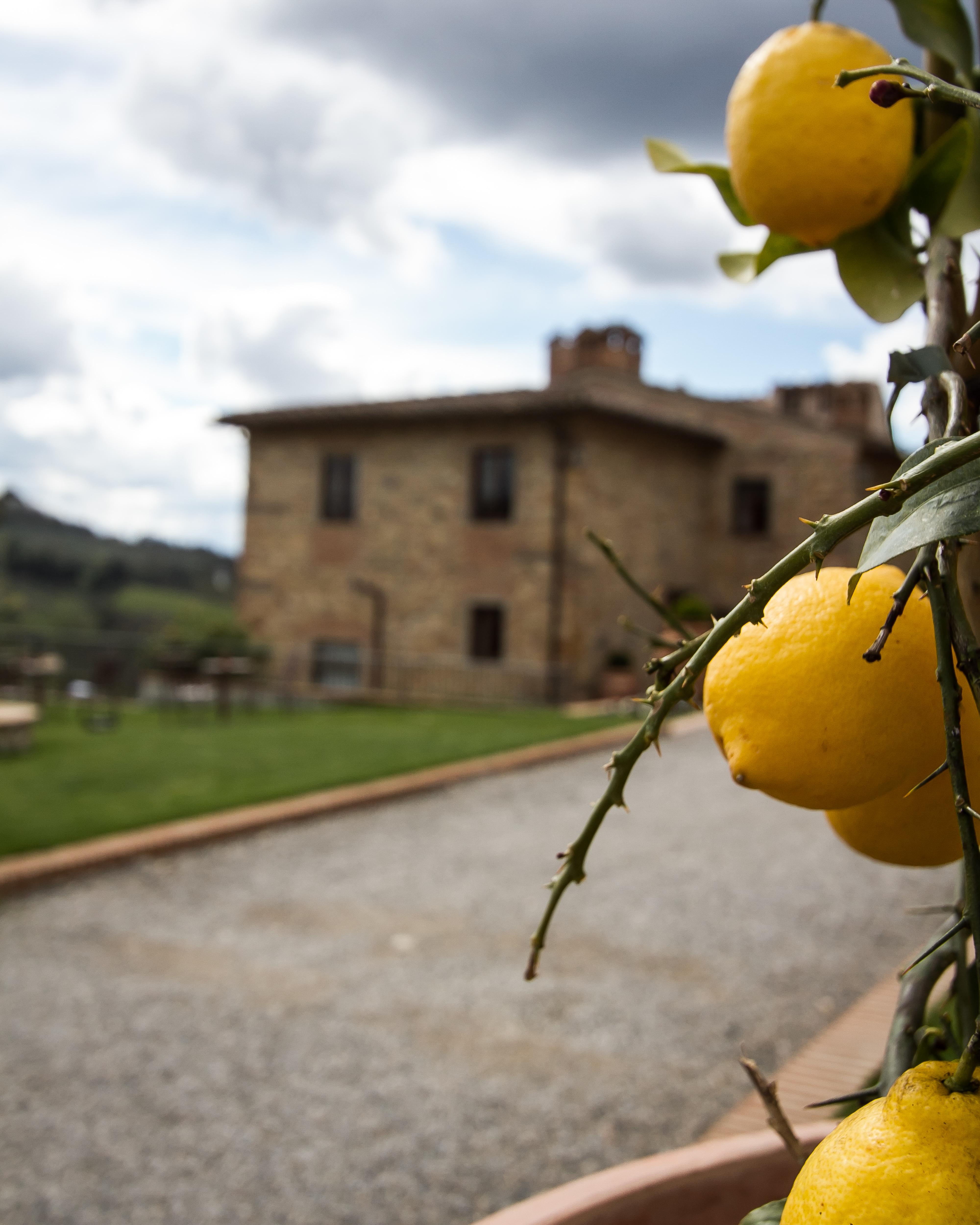 Relais Villa Olmo - Place Of Charme Impruneta Luaran gambar